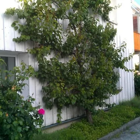 Apartment Schuster